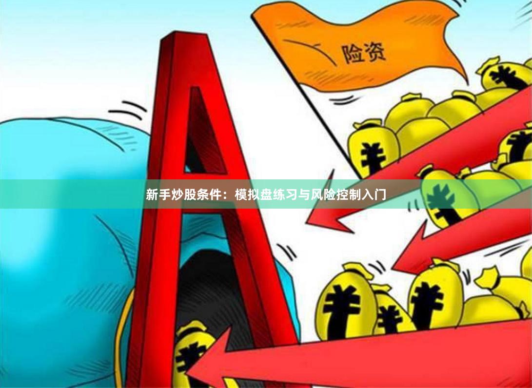 新手炒股条件：模拟盘练习与风险控制入门