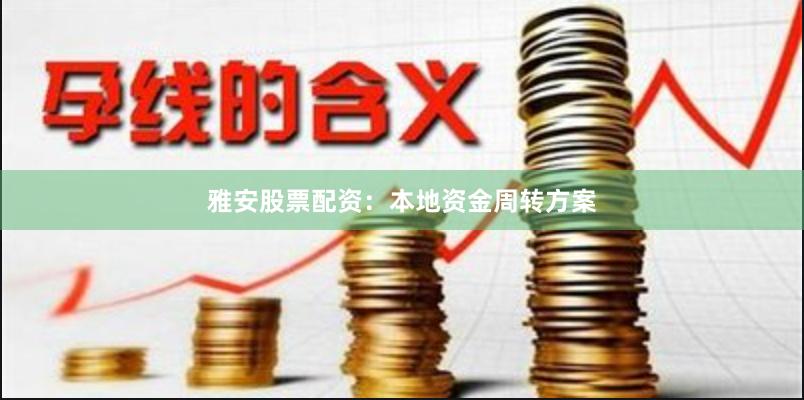 雅安股票配资：本地资金周转方案