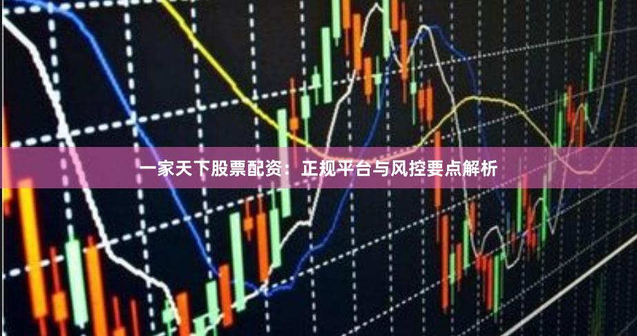 一家天下股票配资：正规平台与风控要点解析