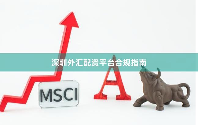 深圳外汇配资平台合规指南
