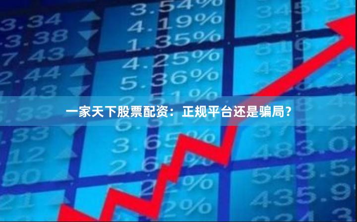 一家天下股票配资:正规平台还是骗局?