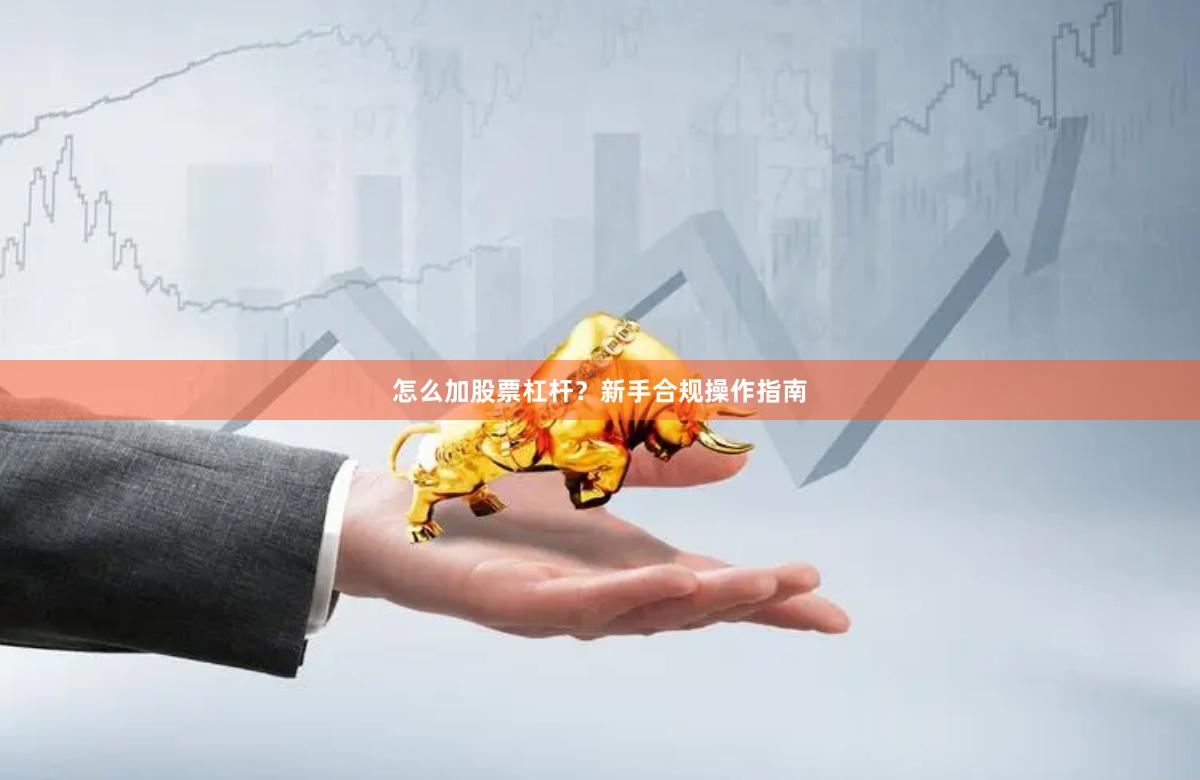 怎么加股票杠杆？新手合规操作指南