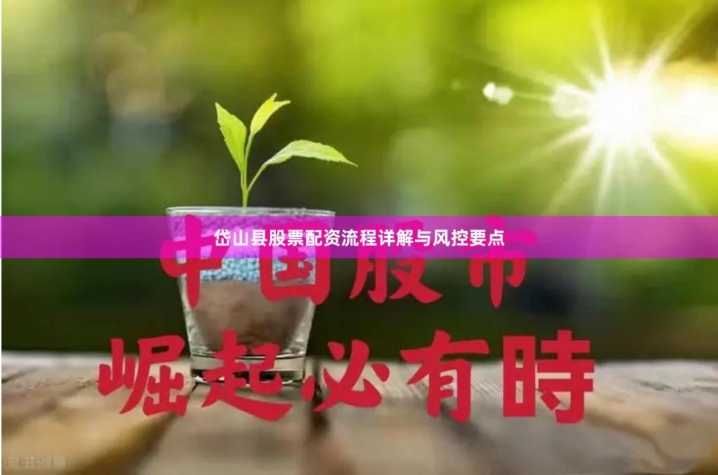 岱山县股票配资流程详解与风控要点